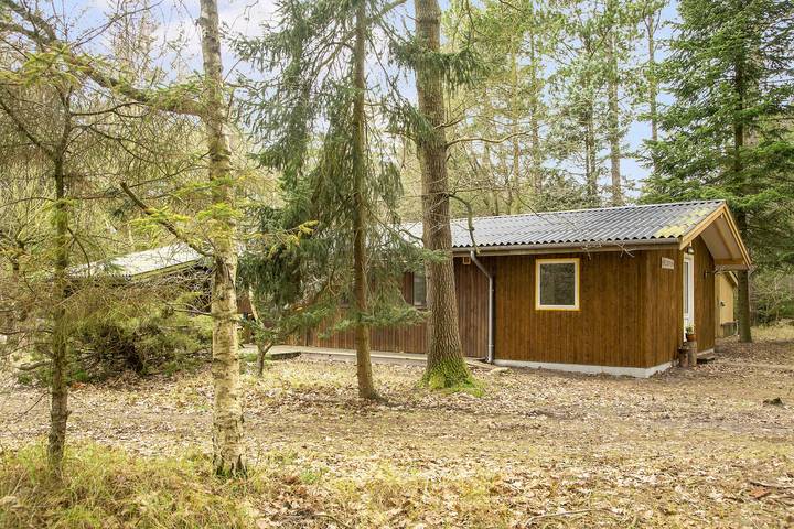 Ferienhaus für 8 Personen, mit Sauna und Terrasse sowie Garten in Dänemark - 3