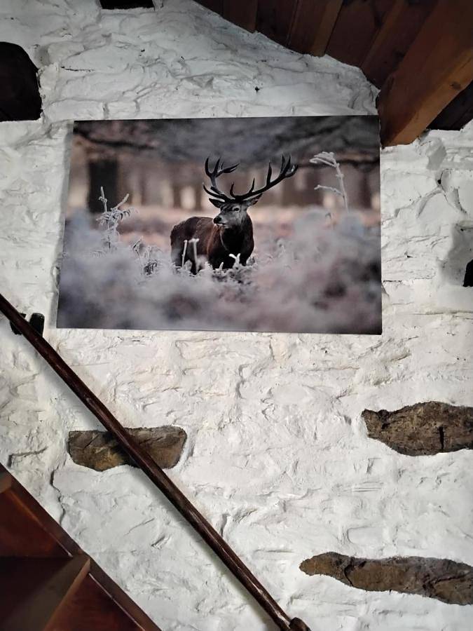 Gîte pour 2 personnes, avec vue et terrasse à Saint-Clément-sur-Durance - 2