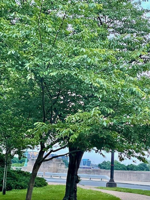 Beautiful 2 Bedroom with Loft in Heart of Old Town—sleeps 6 in Alexandria (VA), Alexandria City