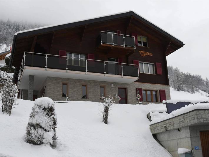 Ferienwohnung für 2 Personen, mit Balkon und Terrasse in der Aletsch Arena - 2
