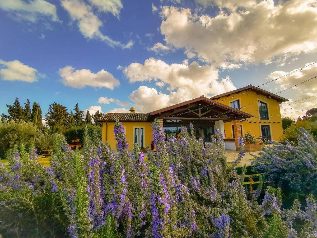 King Room in Frascati, Provincia di Roma