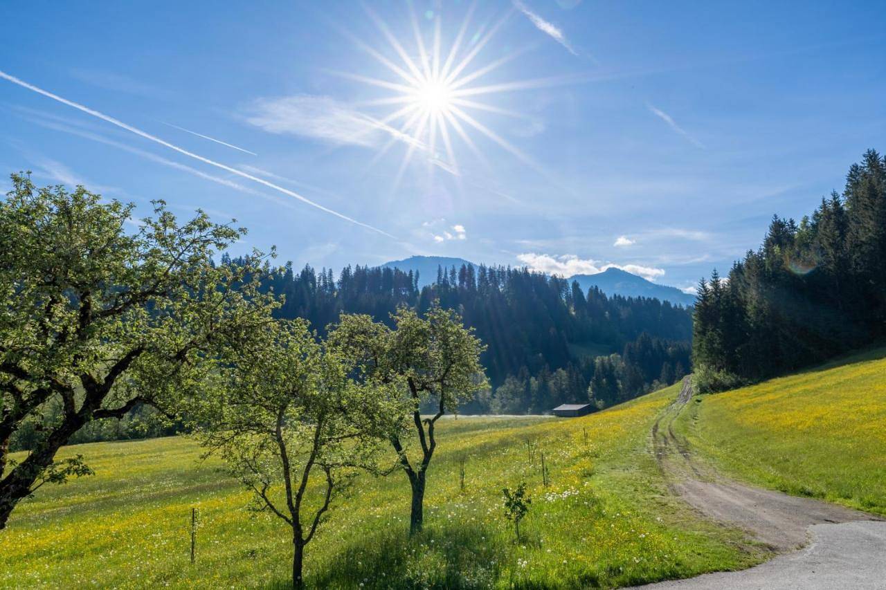 Five-Bedroom House in Westendorf (Tirol), Kaisergebirge