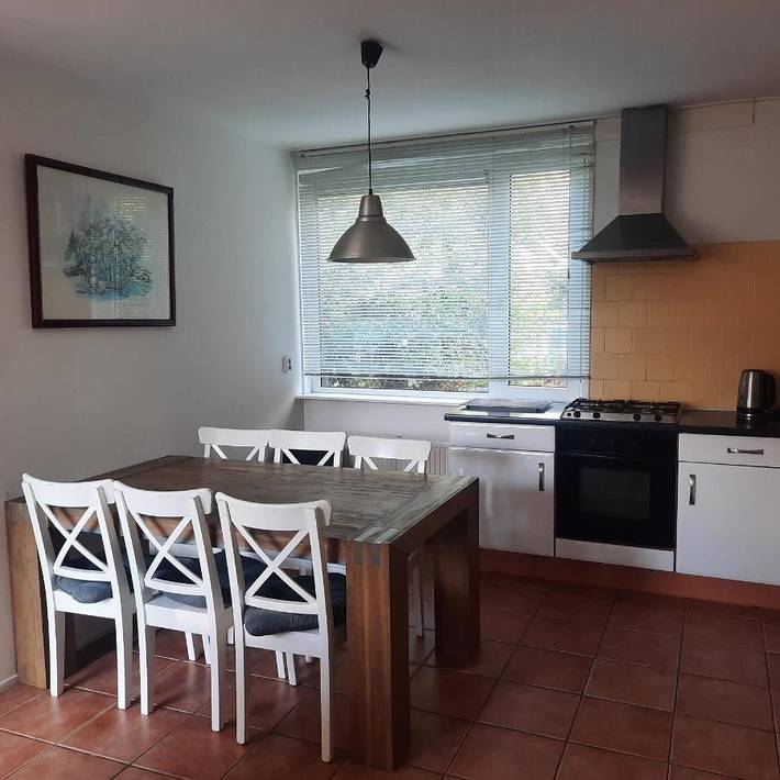 Ferienhaus für 5 Personen, mit Garten, mit Haustier auf Texel - 4