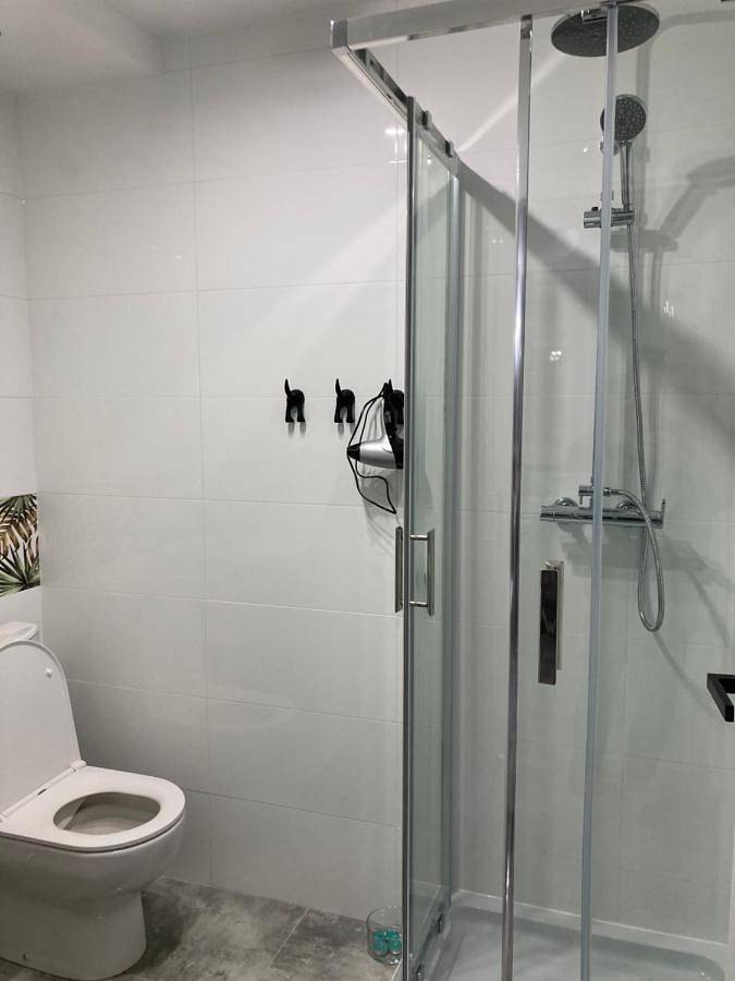 Cały apartament, Apartament Swobodna No.2 in Sosnowiec, Śląsk