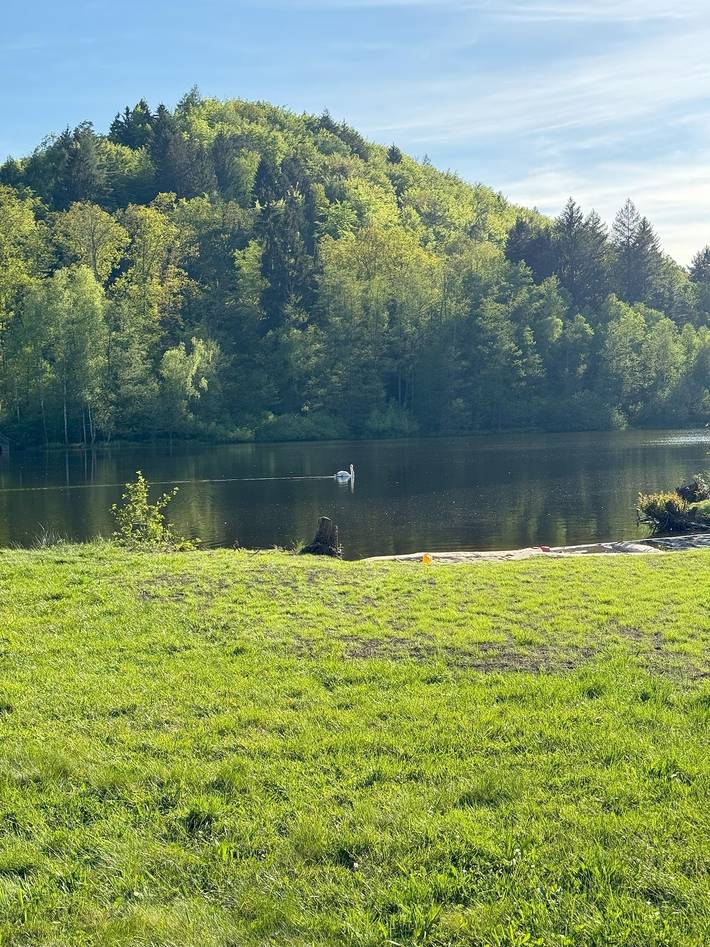 Ferienhaus für 6 Personen, mit Garten und Terrasse, mit Haustier im Dahner Felsenland - 3
