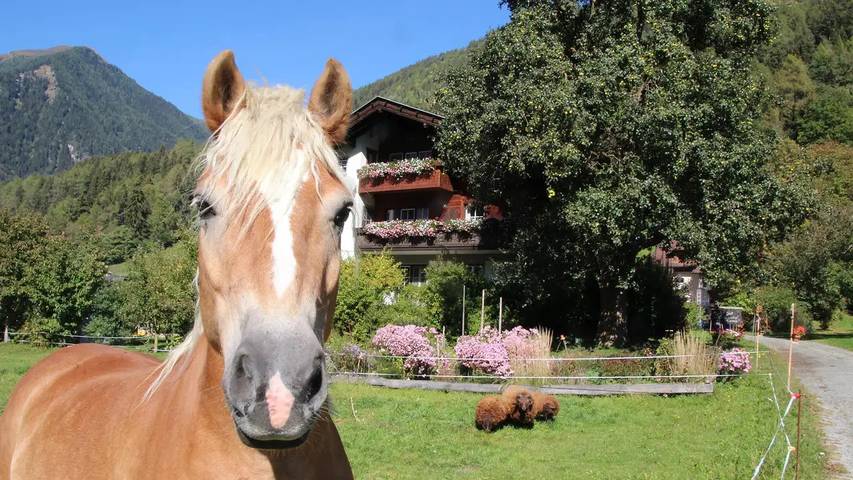 Ferienwohnung für 5 Personen, mit Balkon und Garten in Lieser-Maltatal