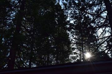 Log Cabin for 6 People in Wawona, Mariposa County, Photo 1