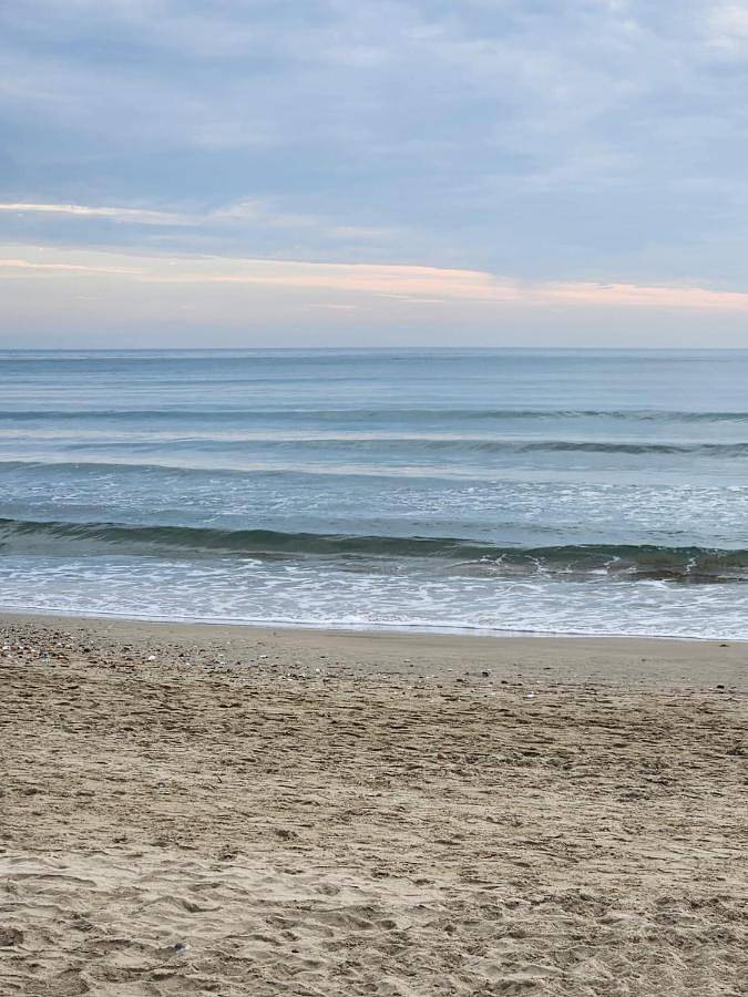 Gîte pour 5 personnes, avec vue, animaux acceptés dans la Tamarissière - 2