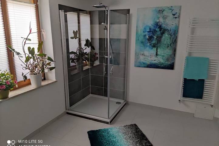 Ferienhaus für 4 Personen, mit Terrasse und Garten, mit Haustier in Gohrisch - 4