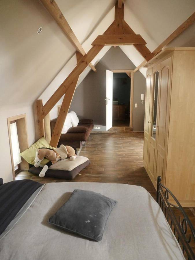 Location de vacances pour 12 personnes, avec piscine ainsi que jardin et vue, animaux acceptés à Péruwelz - 4