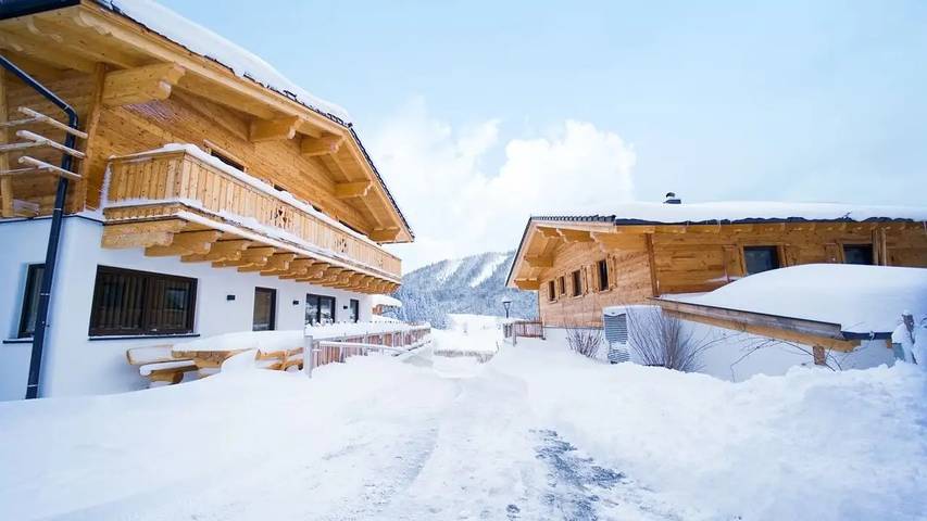 Ferienhaus für 12 Personen, mit Sauna und Balkon in Forstau - 3
