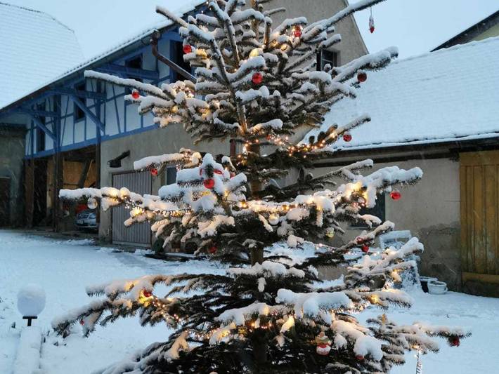 Hotel für 5 Personen, mit Garten, mit Haustier in Hohenlohe - 3