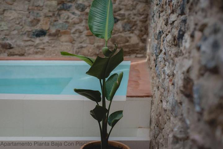 Vacation rental for 4 people, with Balcony and Terrace as well as Pool and View in Mérida