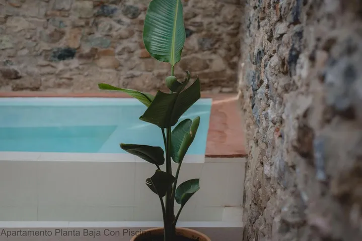 Apartamento de vacaciones para 4 personas, con terraza además de piscina y vistas - 1