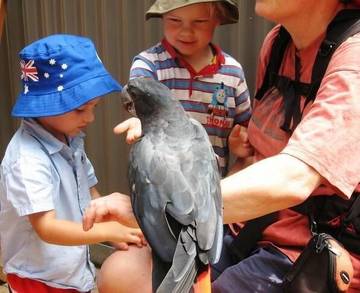 Holiday Home for 6 People in North Queensland, Queensland, Photo 2