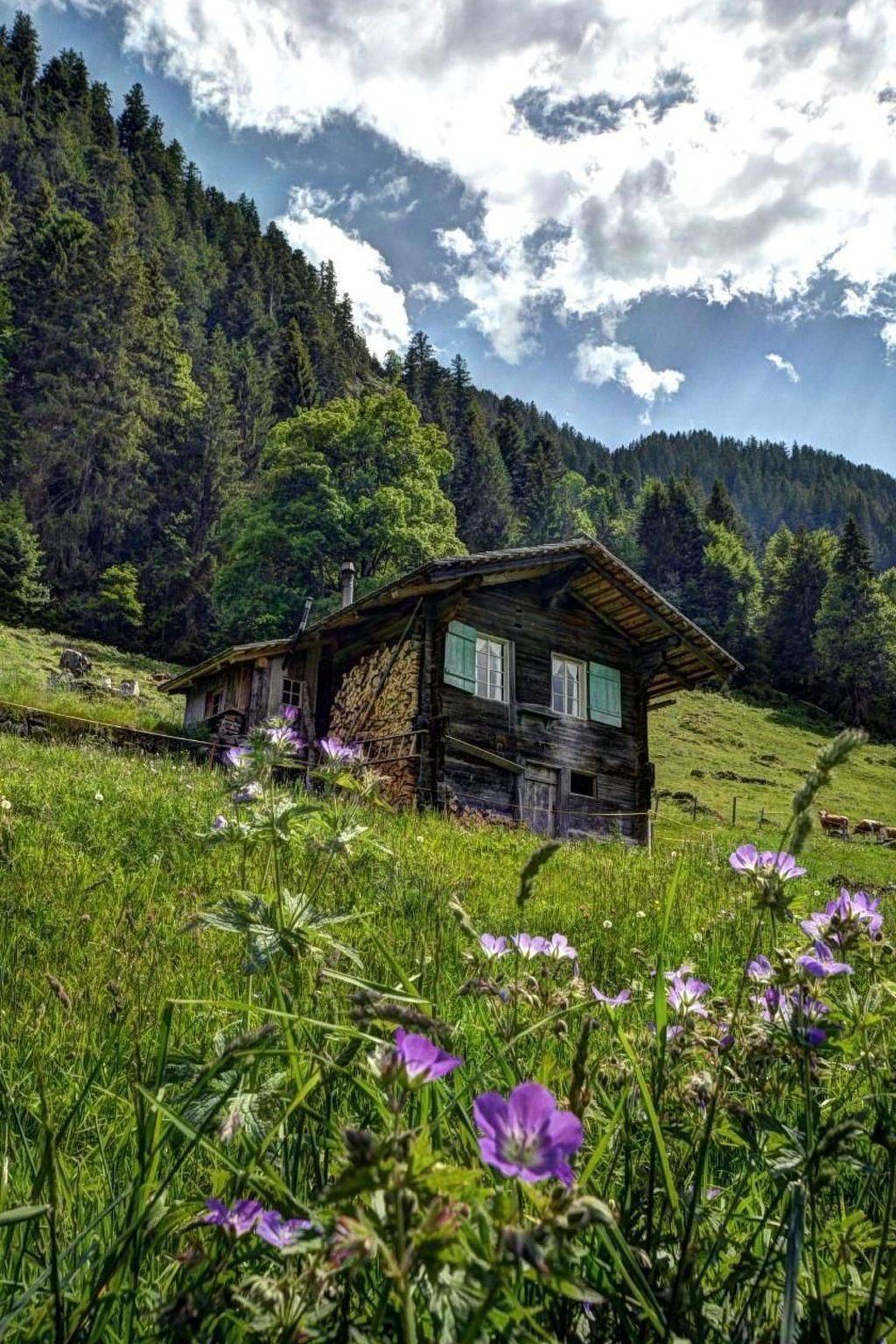 Kirschbaumhütte in Gündlischwand, Verwaltungskreis Interlaken-Oberhasli