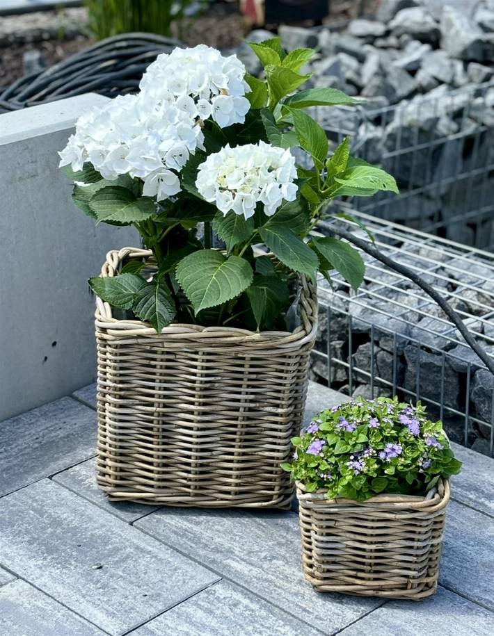 Ferienwohnung für 3 Personen, mit Terrasse und Garten, mit Haustier in Kastellaun