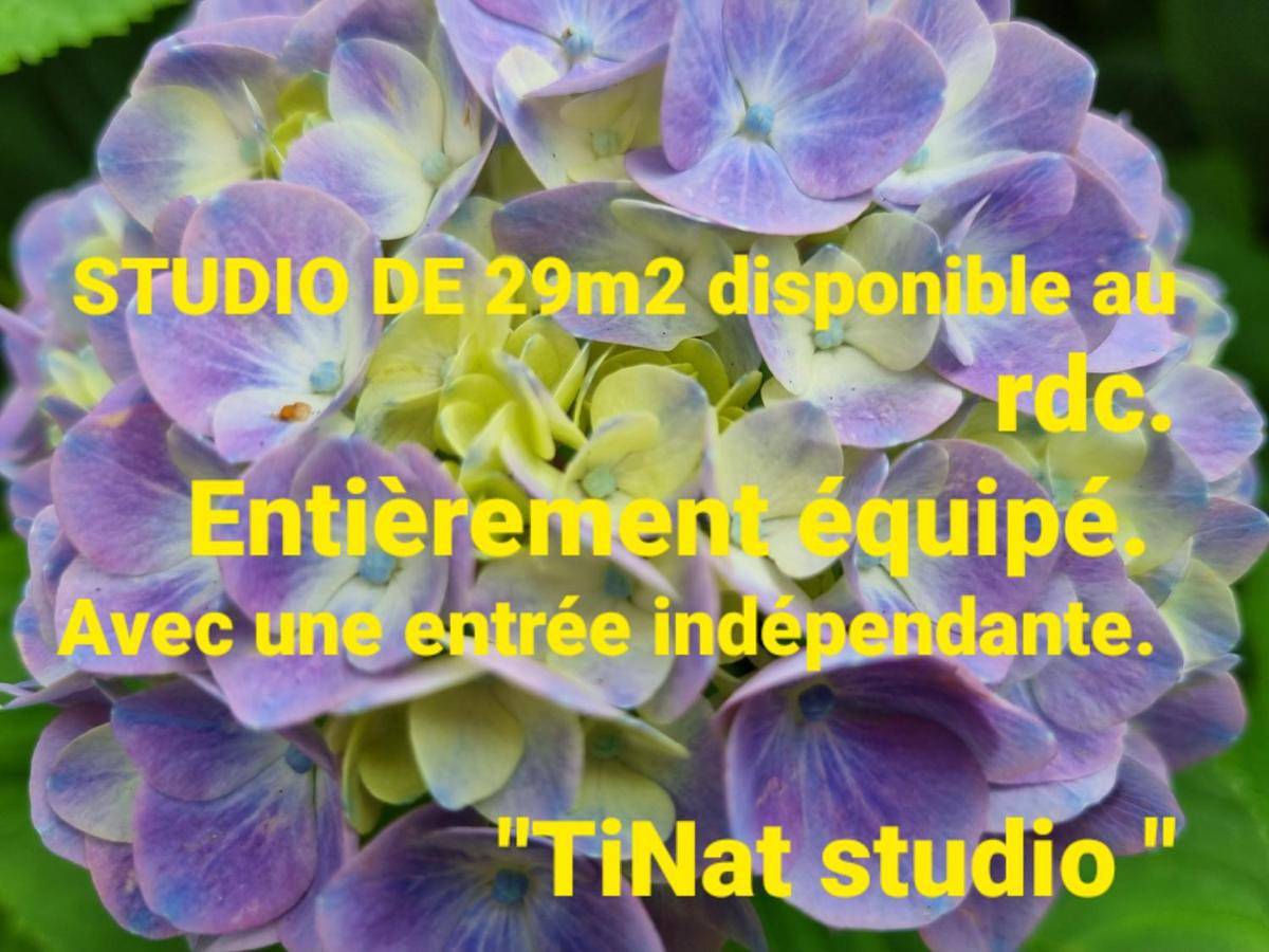 Tinat chambre avec grand jardin, parking gratuit in Douarnenez, Région de Quimper