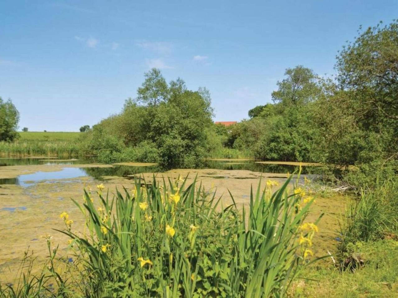 Retraite de luxe et bien-être -- By Traum Ferienwohnungen in Råbylille Strand, Région de Vordingborg