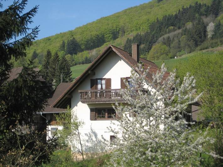 Filter.pet.vacation_home für 3 Personen, mit Terrasse in Markgraeflerland - 2