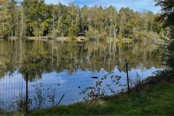 Location de vacances pour 12 personnes, avec piscine ainsi que jardin et vue à Brinon-sur-Sauldre - 4