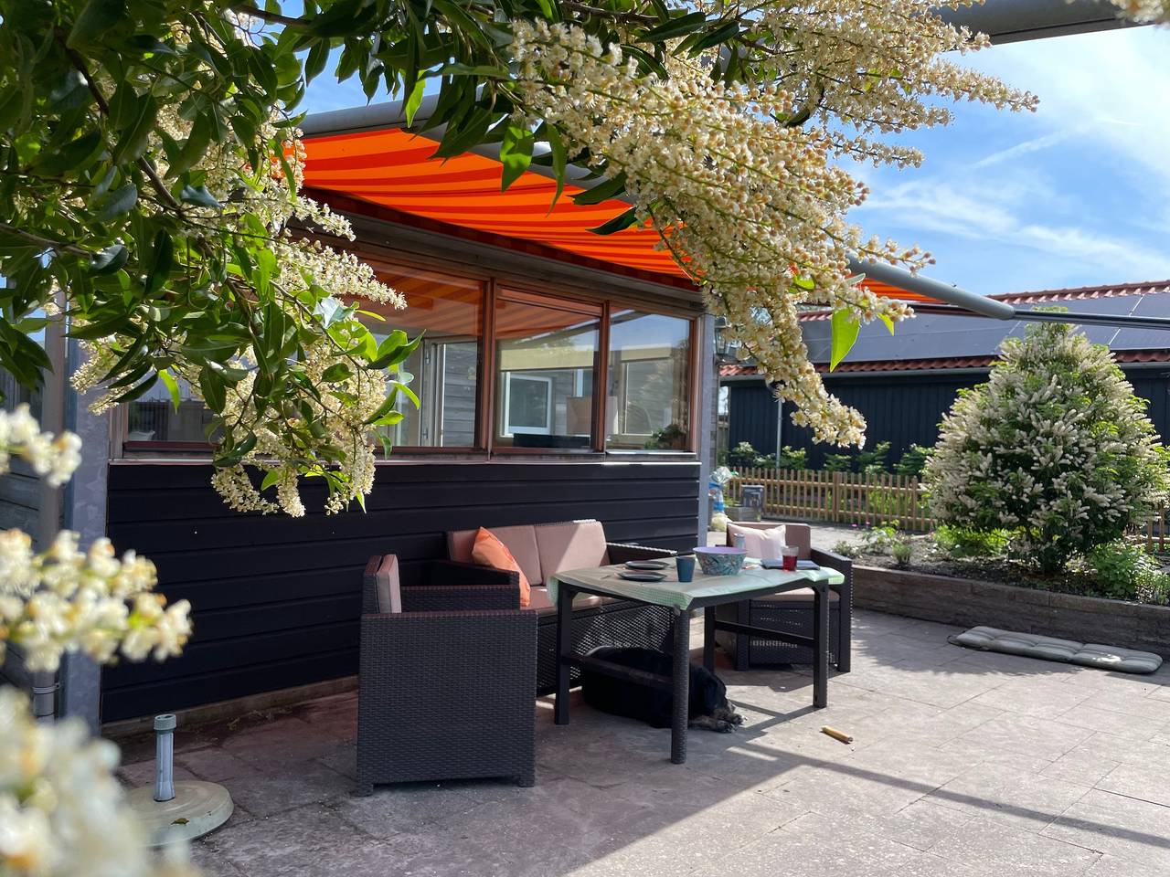 4 Personen Chalet Ufergrundstück, mit Parkplatz und eigenem Angelplatz, Canoe in Dongeradeel, Niederländische Nordsee