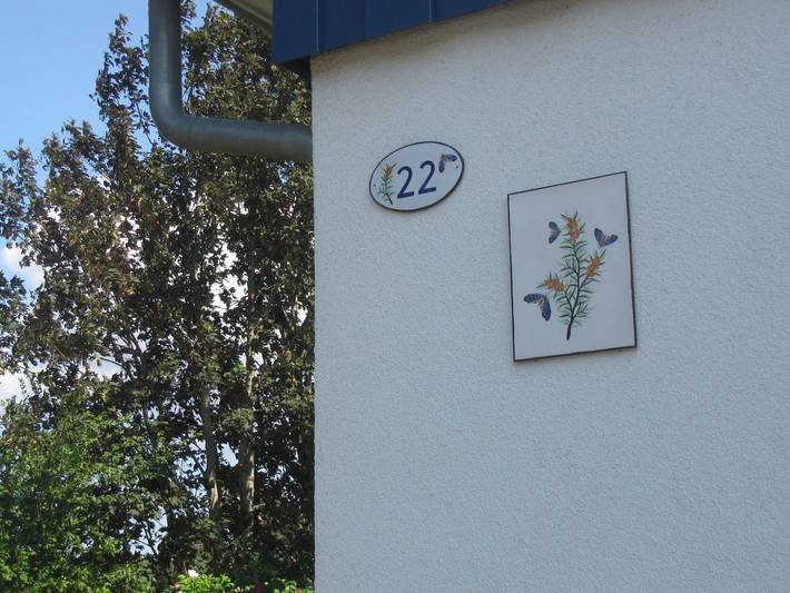 Ferienhaus für 6 Personen, mit Terrasse und Garten sowie Sauna in West Rügen - 2