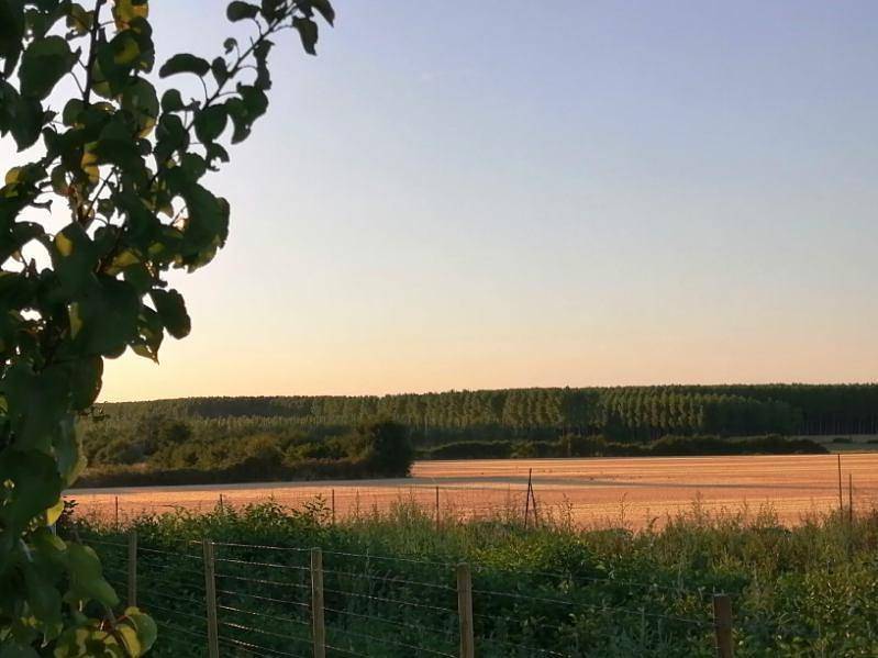 Les Lauriers Blancs in Damerey, Région de Chalon-sur-Saône
