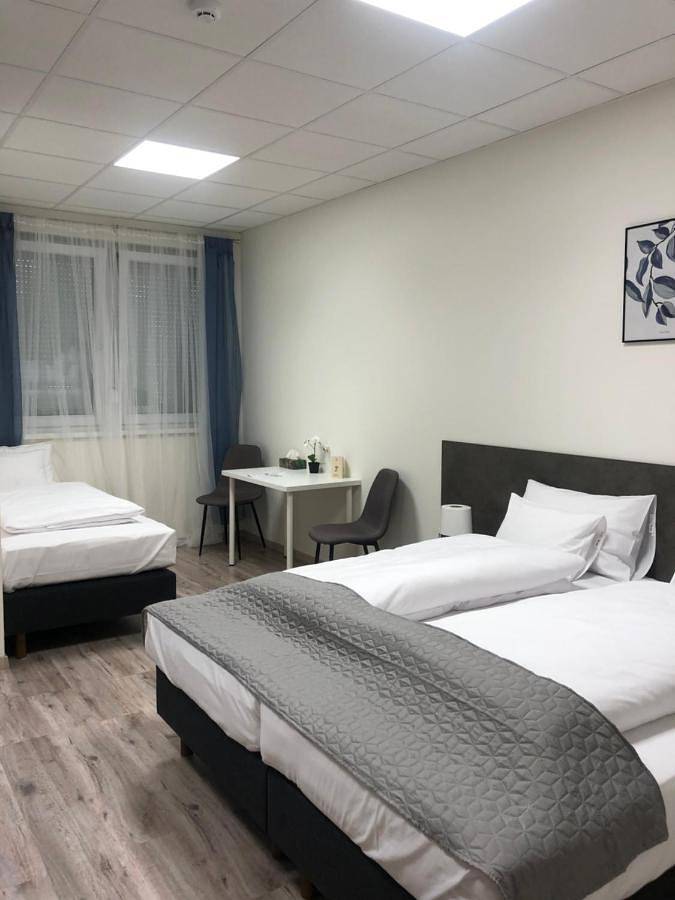 Chambre d’hôte pour 3 personnes, avec vue et jardin à Vecsés - 3