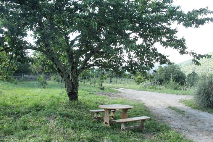 Chambre d’hôte pour 4 personnes, avec jardin ainsi que piscine et vue, animaux acceptés à Saint-Jean-du-Gard - 4
