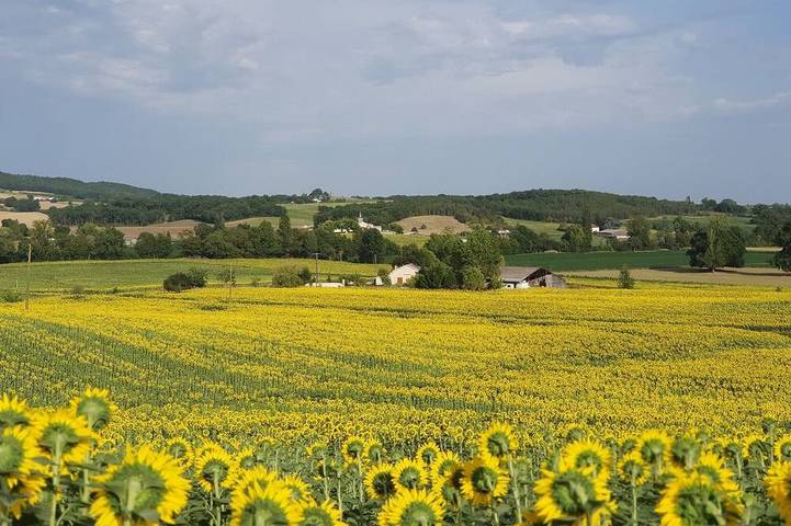 Appartement de vacances pour 3 personnes, avec piscine et jardin