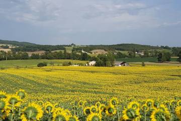 Gîte pour 3 personnes, avec jardin et piscine à Monclar
