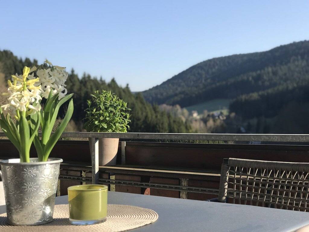 Lac de montagne de Fronwald in Alpirsbach, Vallée du Kinzig