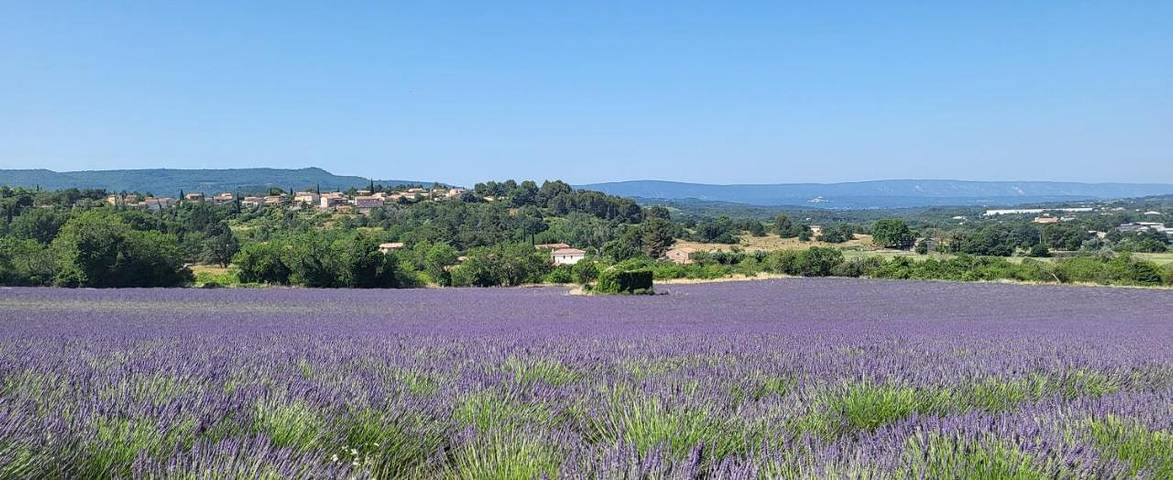 Chambre d’hôte pour 2 personnes, avec terrasse et vue ainsi que jardin et piscine à Apt - 2