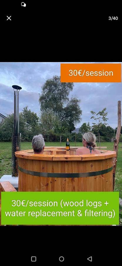 Gîte pour 4 personnes, avec jardin et vue, animaux acceptés à Léglise - 2