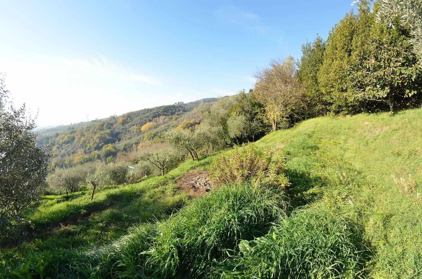 Bauernhaus für 4 Personen mit Terrasse in Capannori, Lucca Provinz