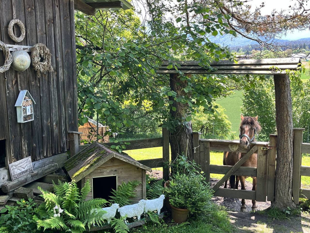 Reserl - Reserl 250.1 in Velden am Wörther See, Villach-Land