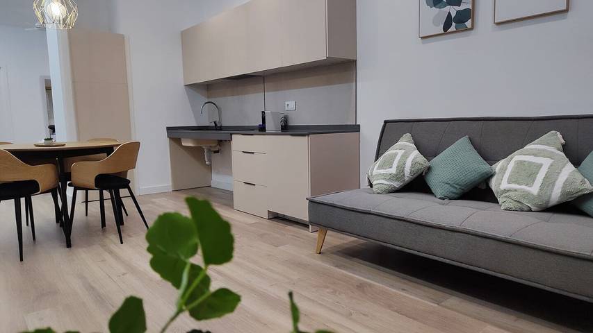 Studioleilighet for 3 personer - 1