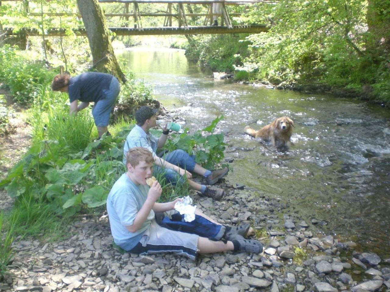 Vakantie in het dorp, foto 15