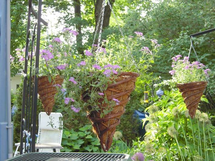 Chambre d’hôte pour 3 personnes, avec vue et jardin dans Canada - 3