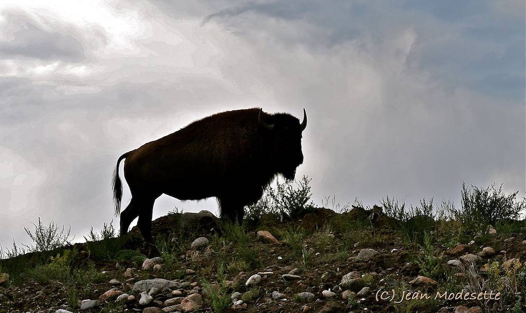Summer & Winter Paradise, Stunning Mountain Views & Close To Yellowstone Park! in Absaroka Range