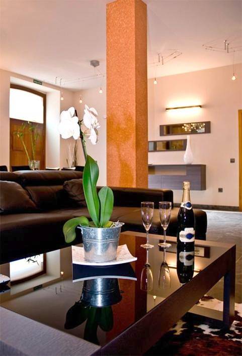 Casa rural para 16 personas, con Jacuzzi y Terraza en Provincia de Segovia - 4