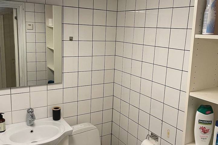 Ganze Wohnung, 1 Bedroom Apartment, Centrally Located in Bamble