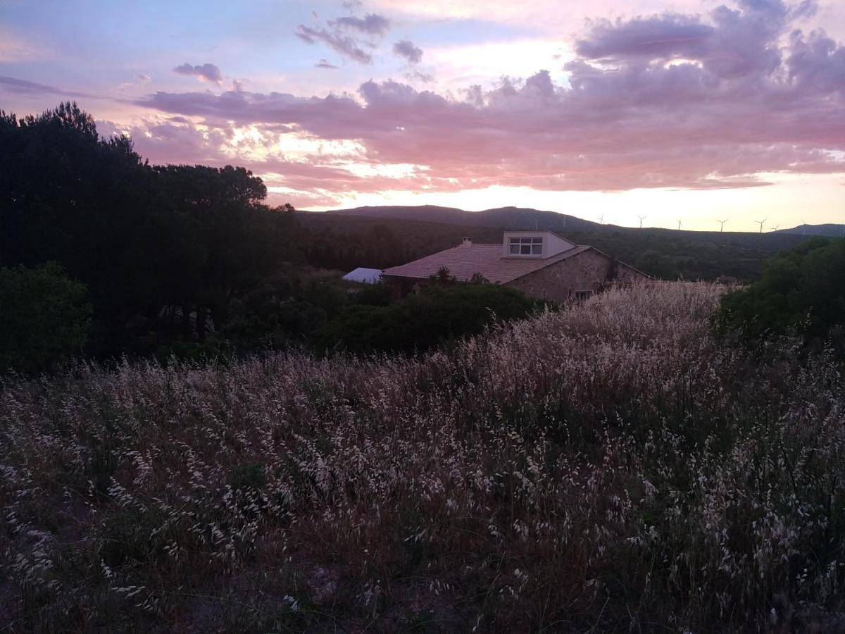 Bergerie eco dans la nature in Fitou, Côte méditerranéenne (France)