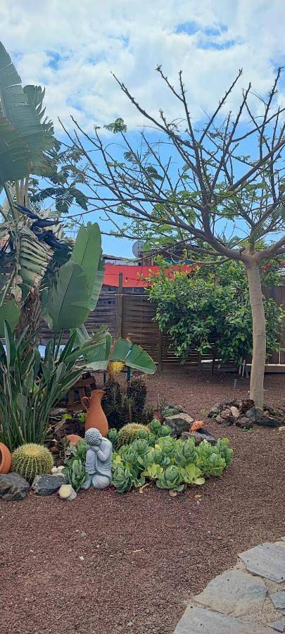 Bungalow für 2 Personen, mit Terrasse und Garten in Teneriffa Süd - 2