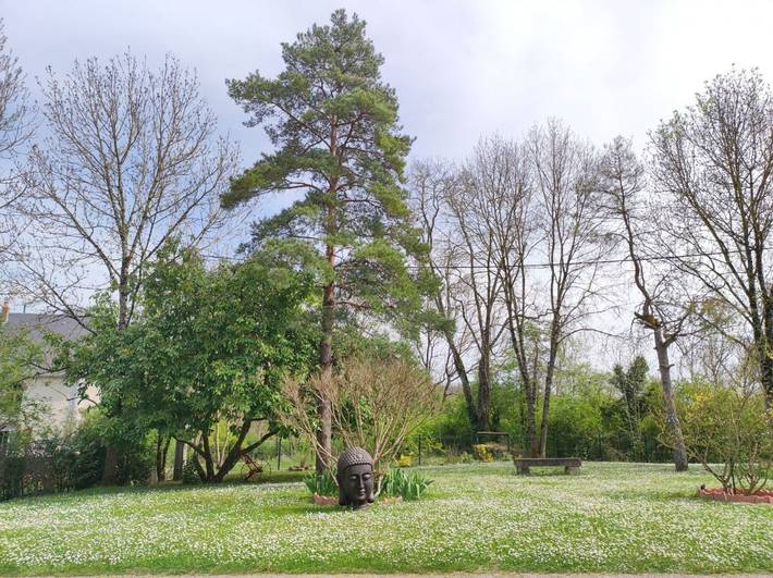 Chambre d’hôte pour 3 personnes, avec jardin et piscine dans le Cher - 2