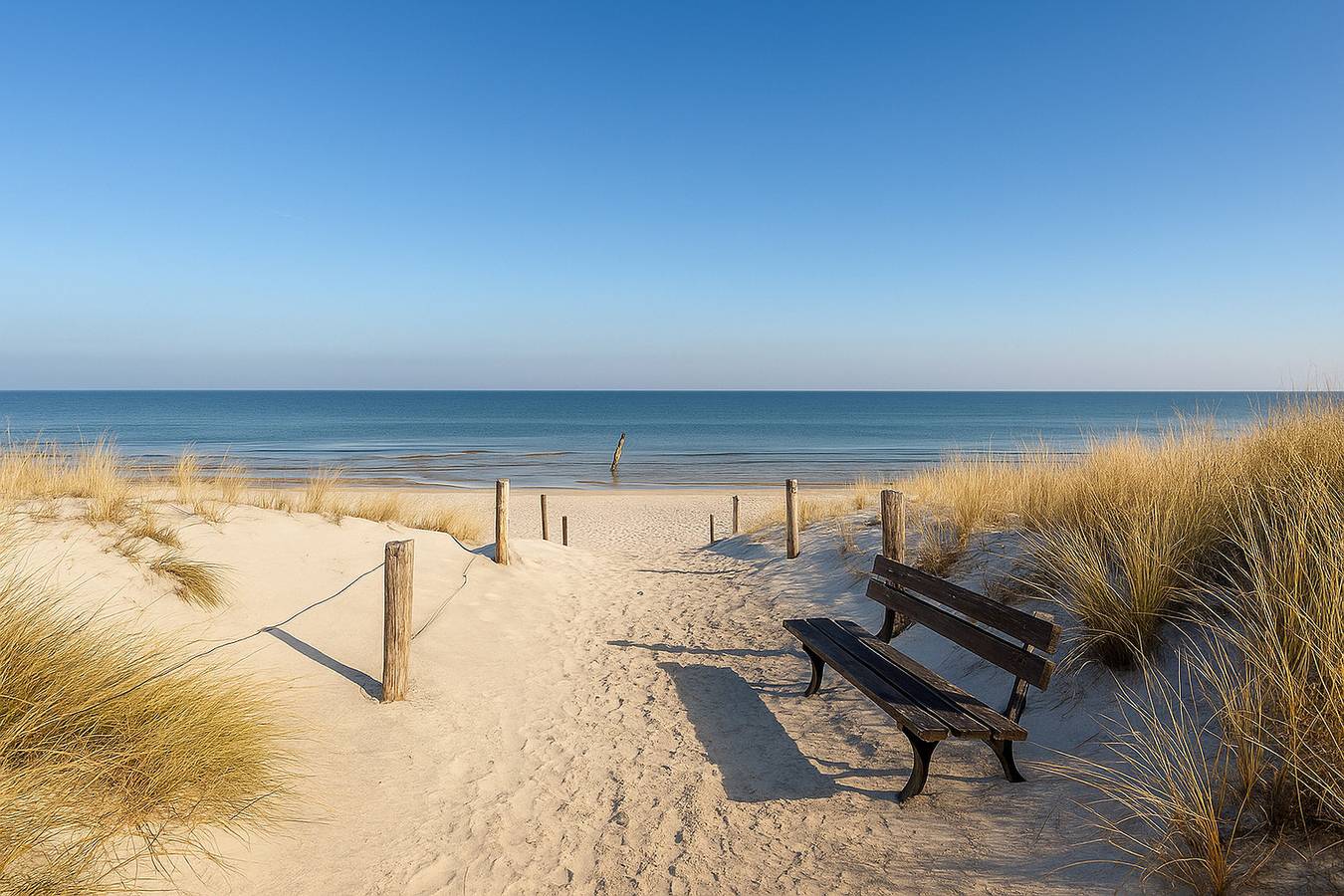 Ganze Ferienwohnung, Ostseebad 22 in Prerow, Fischland - Darß - Zingst