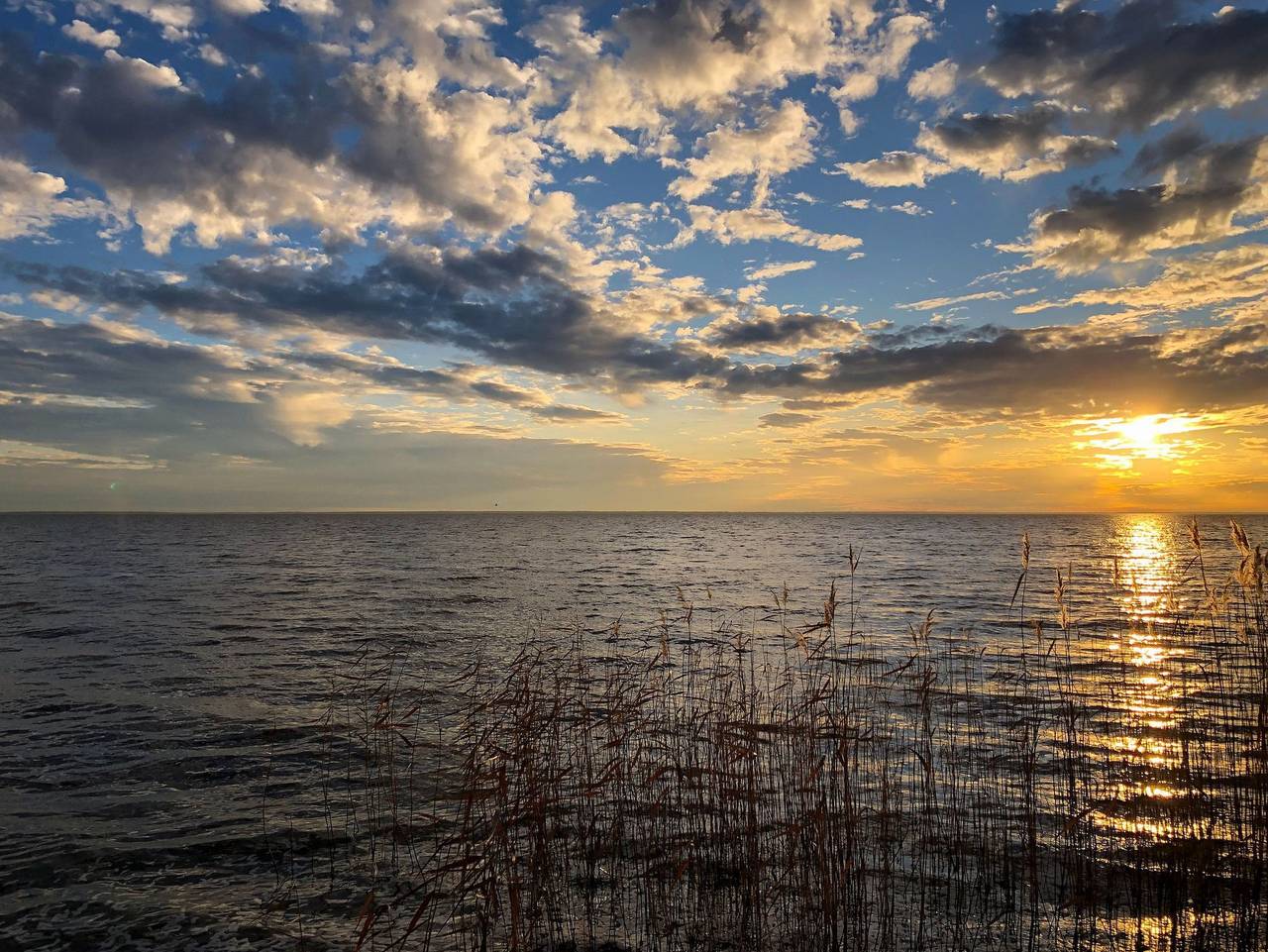 Ganze Ferienwohnung, Apartment Freya - Haffresidenz (5.5) - 5.5 in Zirchow, Usedom