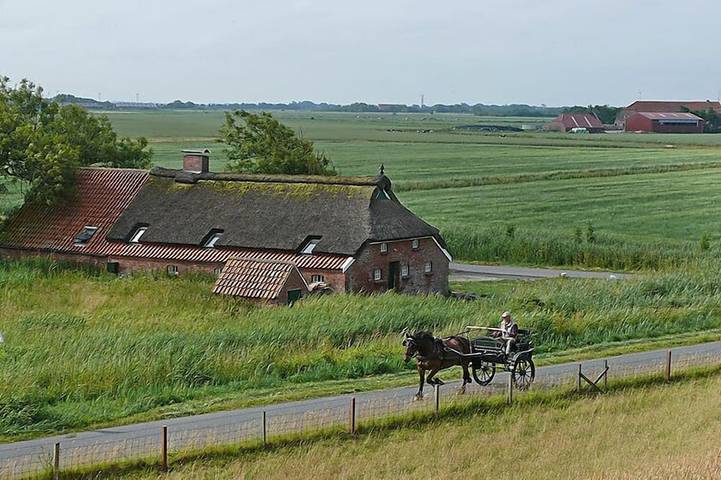 Ferienhaus für 4 Personen, mit Balkon/Terrasse und Terrasse, mit Haustier - 1