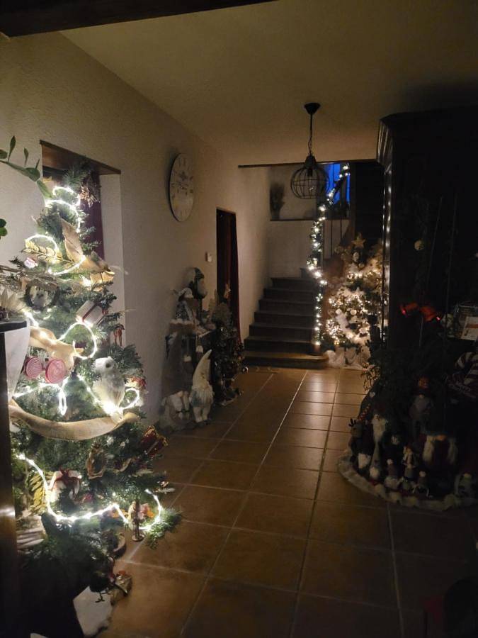 Location de vacances pour 2 personnes, avec piscine ainsi que vue et jardin à Monclar-de-Quercy - 2